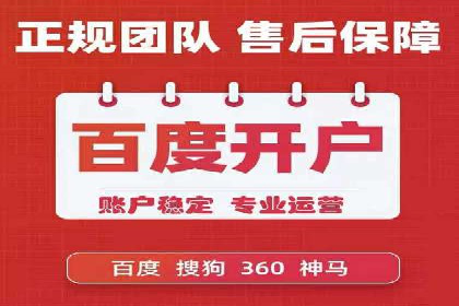 如何在竞争激烈的市场中做好SEM——案例分析